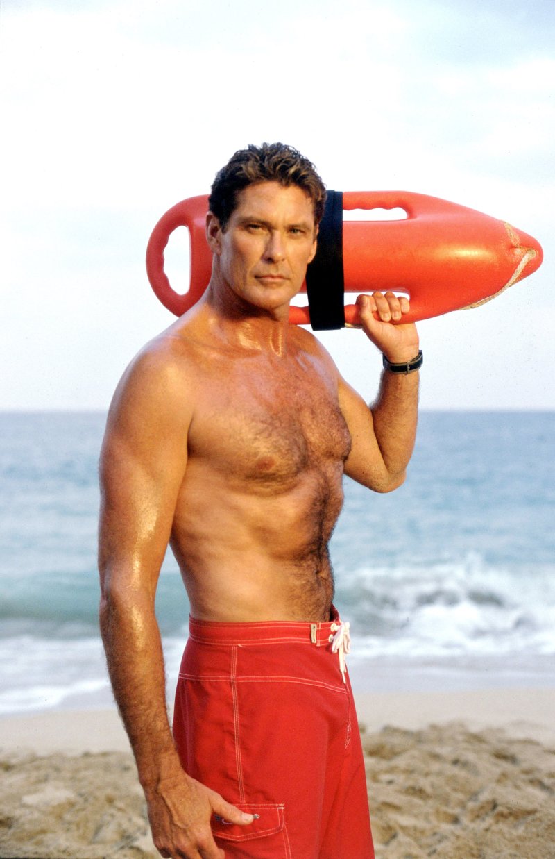 David Hasselhoff Rescuers Malibu