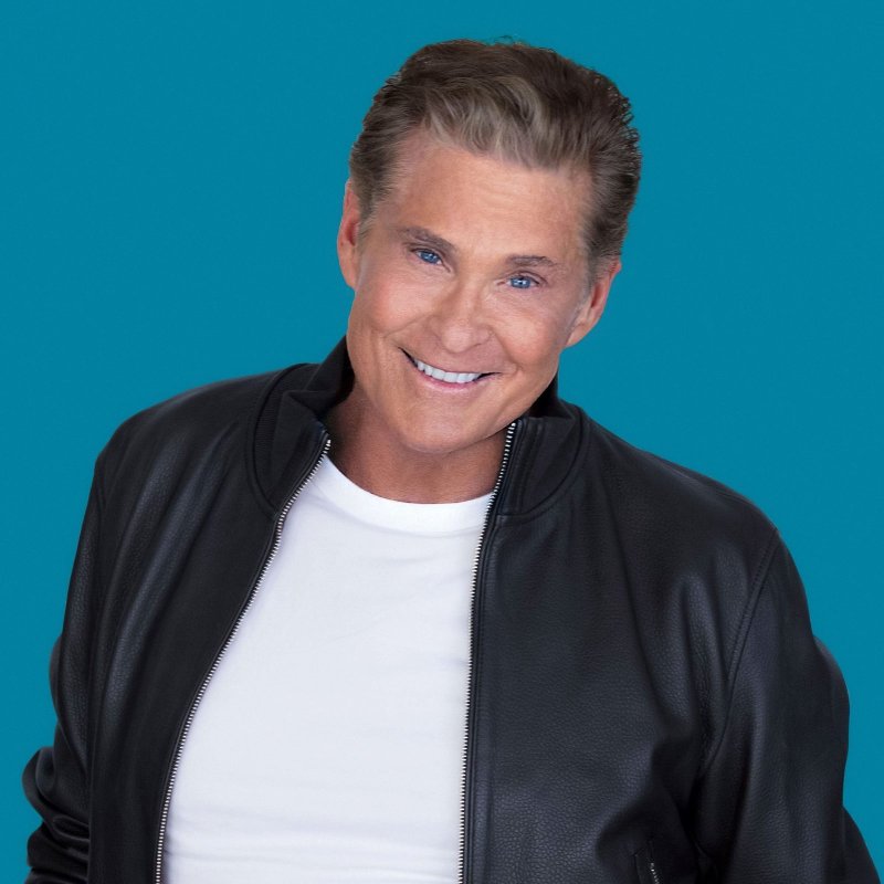 David Hasselhoff now