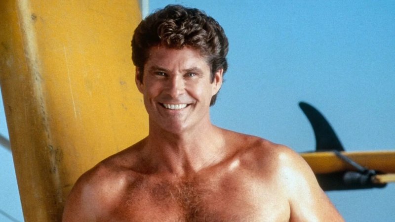 David Hasselhoff Rescuers Malibu