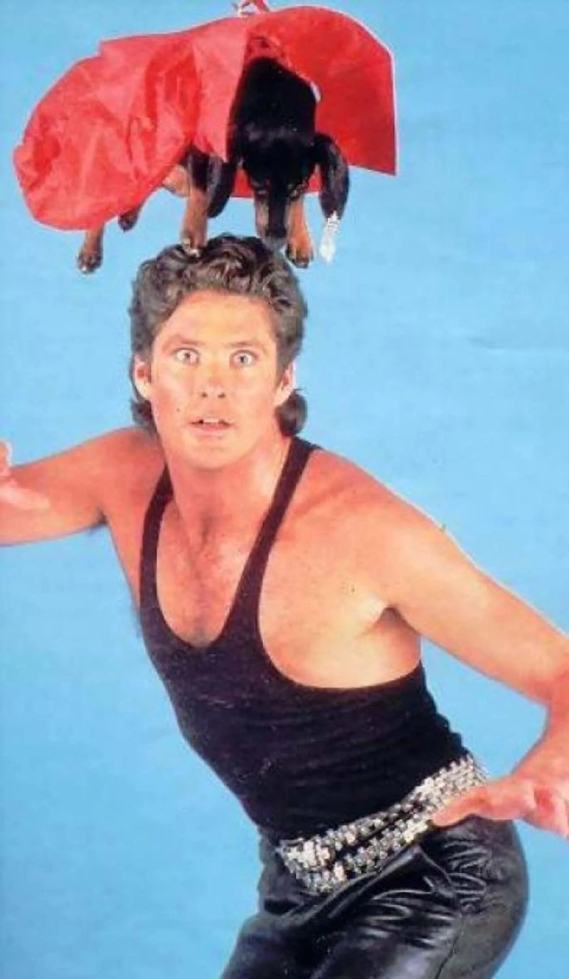 David Hasselhoff