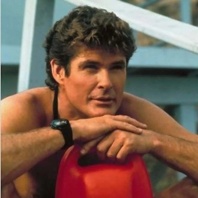 David Hasselhoff Rescuers Malibu
