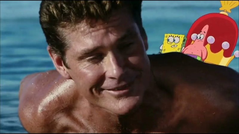 David Hasselhoff Gubba