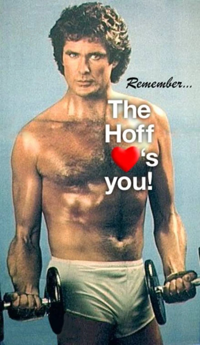 David Hasselhoff Rescuers Malibu