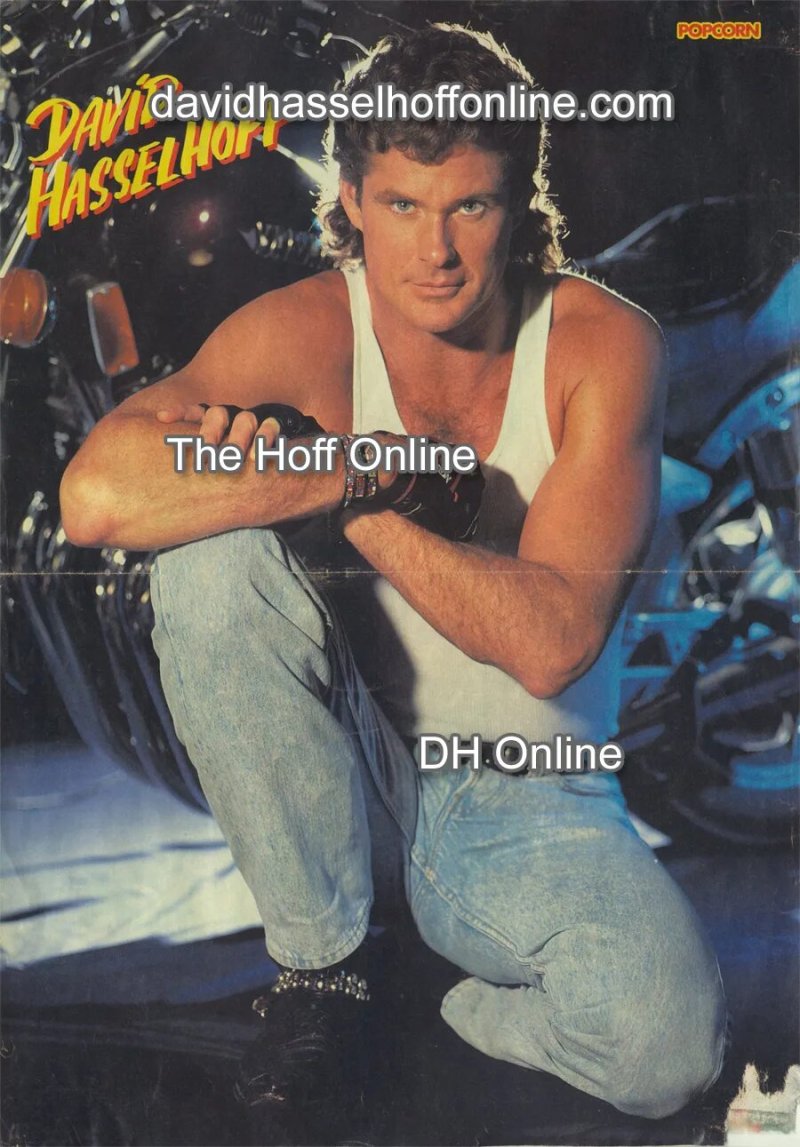 David Hasselhoff