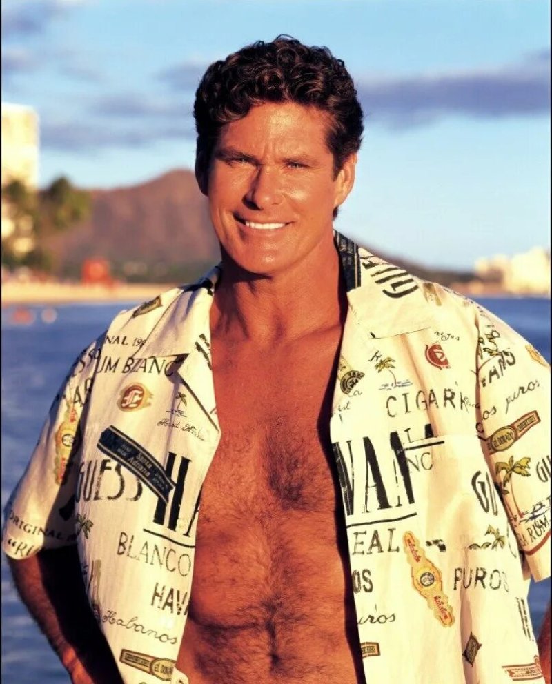David Hasselhoff Rescuers Malibu