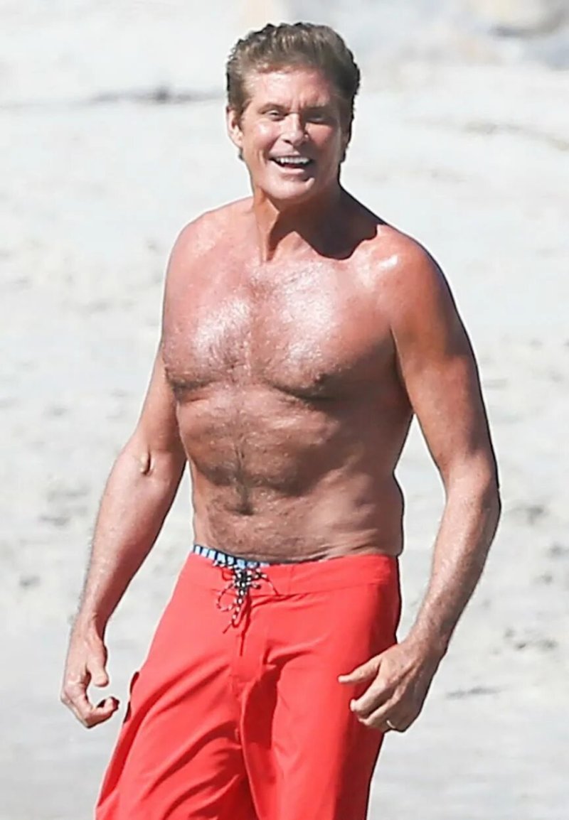 David Hasselhoff Rescuers Malibu