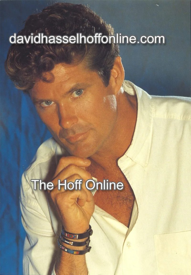 David Hasselhoff