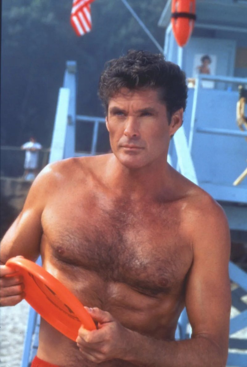 David Hasselhoff Rescuers Malibu