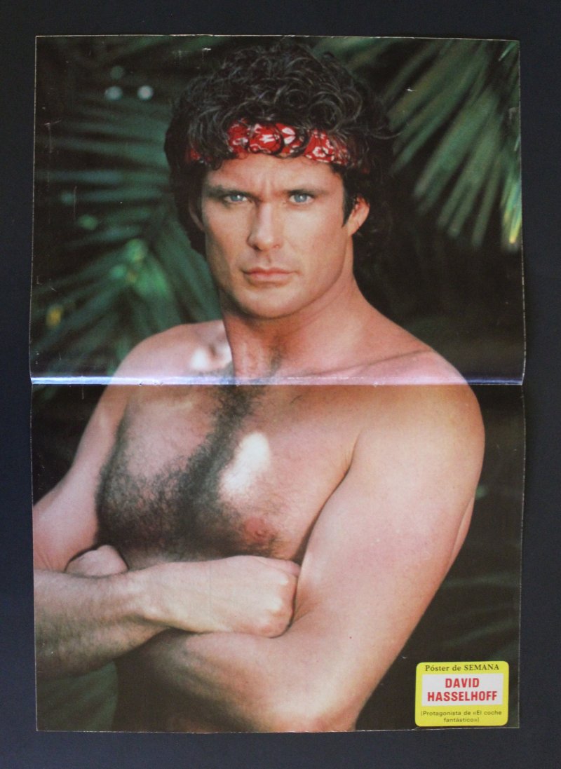David Hasselhoff Naked