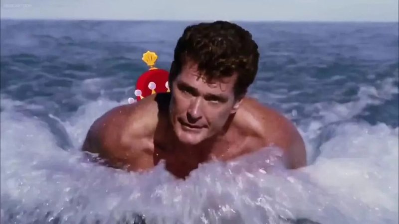 David Hasselhoff Rescuers Malibu