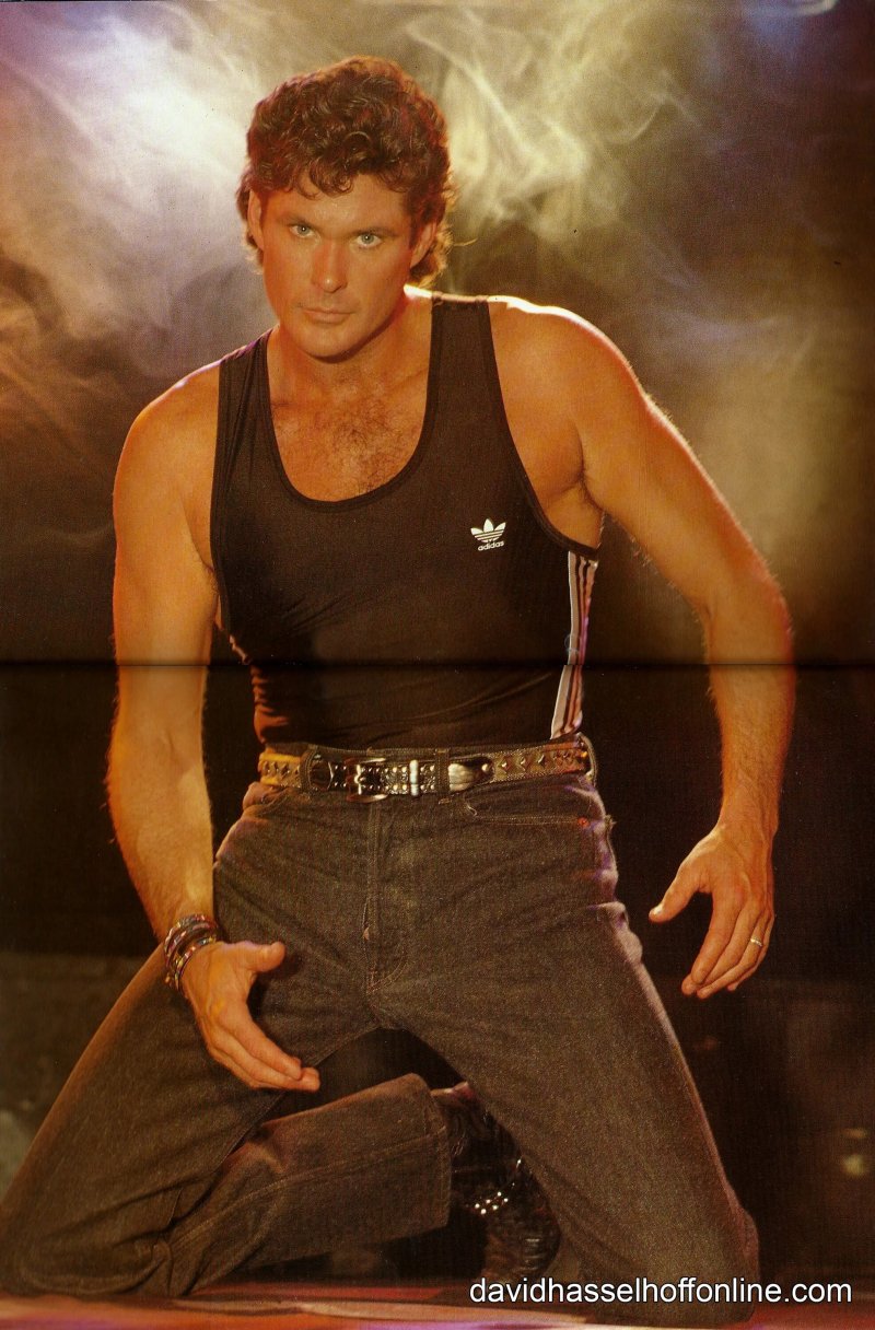 David Hasselkhoff Tors