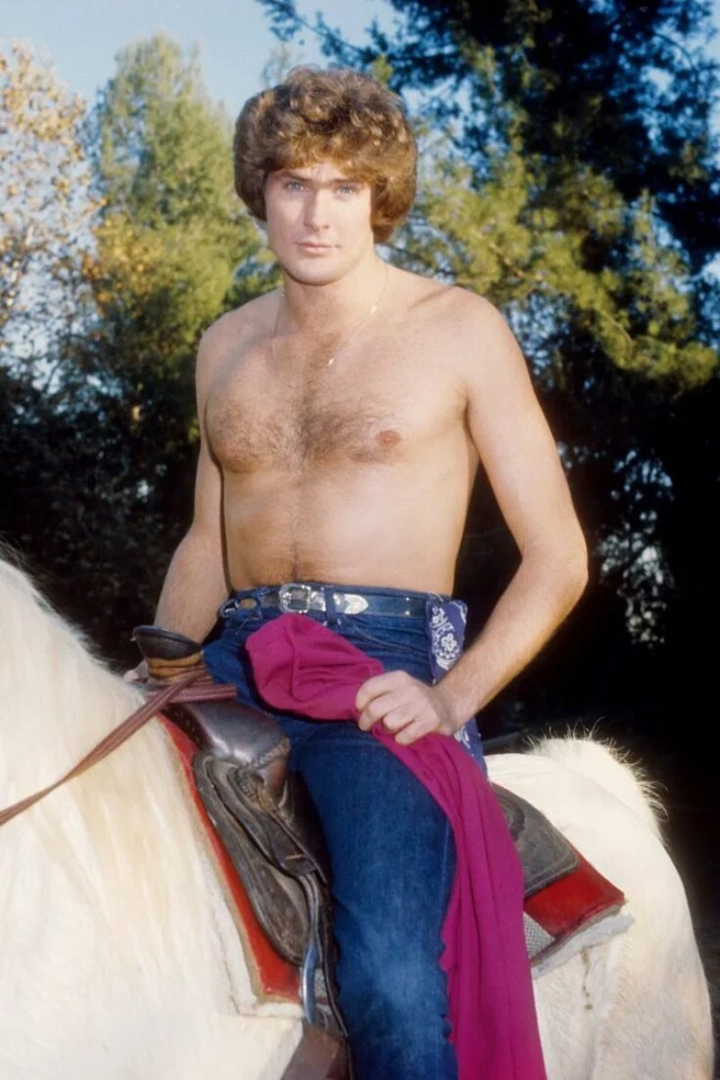 David Hasselhoff in Youth
