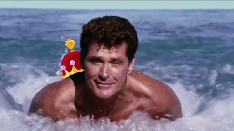 David Hasselhoff Rescuers Malibu