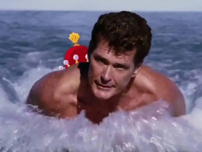David Hasselhoff Rescuers Malibu