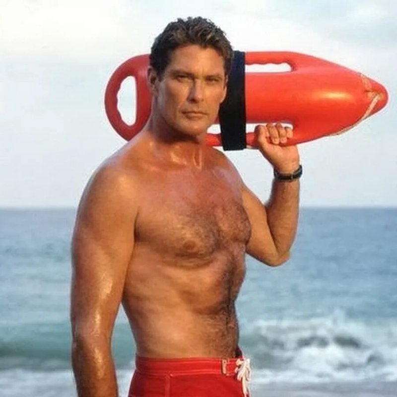 David Hasselhoff Rescuers Malibu