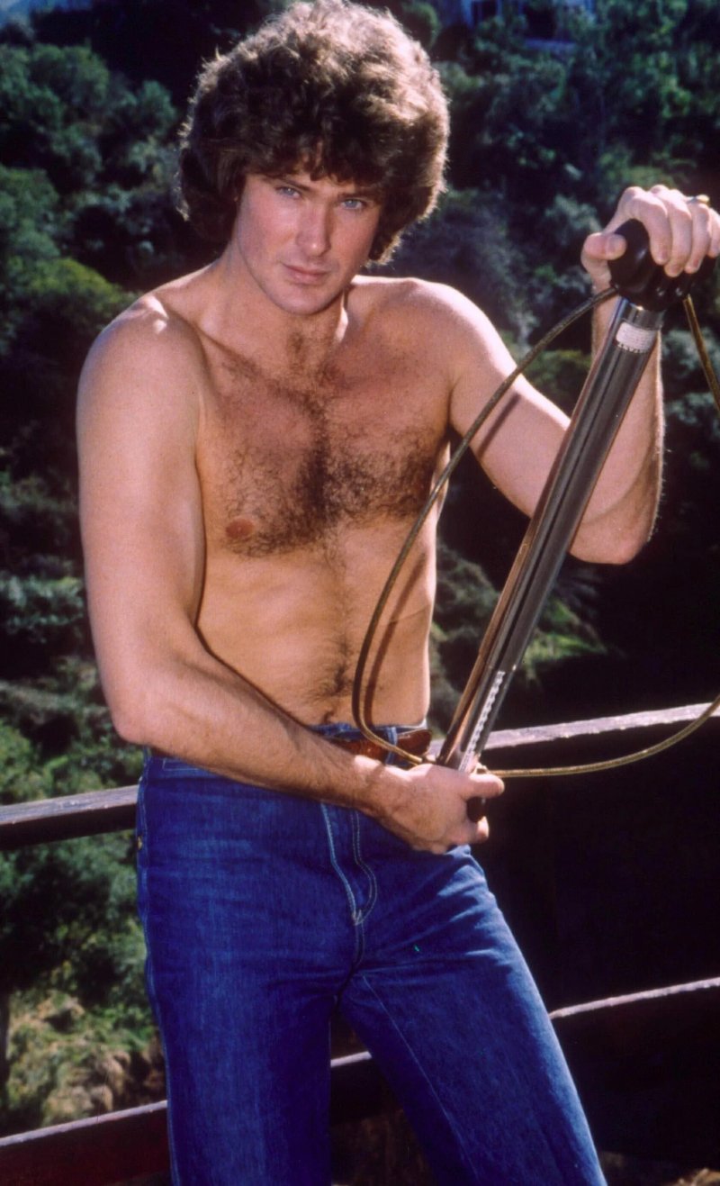 David Hasselhoff in Youth