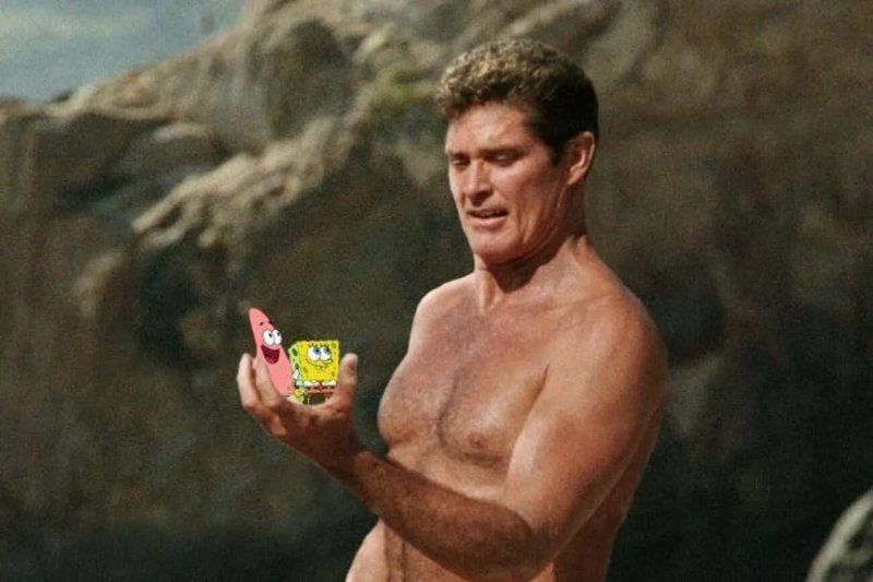 David Hasselhoff Gubba