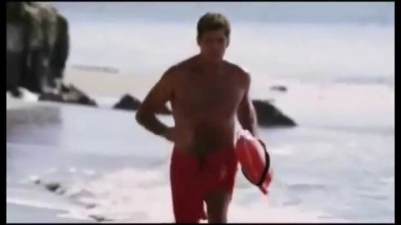 David Hasselhoff Rescuers Malibu
