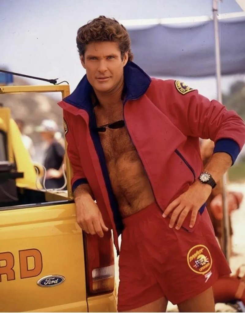 David Hasselhoff Rescuers Malibu