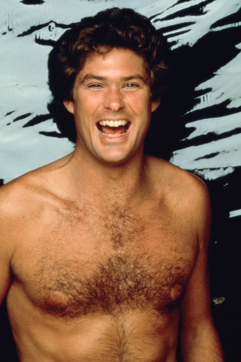 David Hasselhoff hairy
