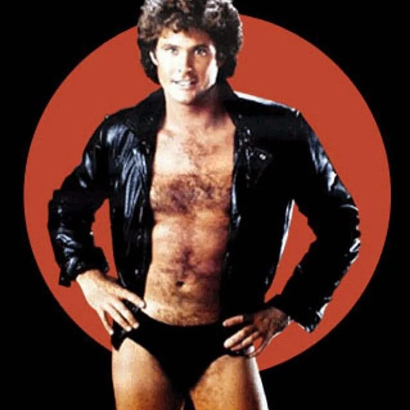 David Hasselhoff