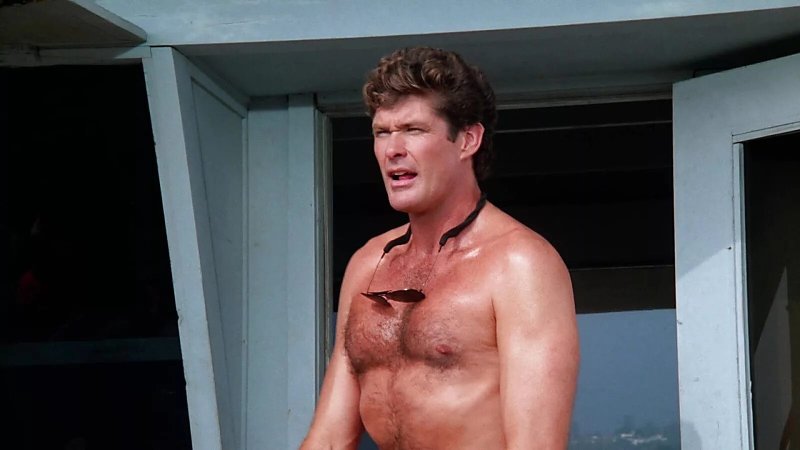 David Hasselhoff Rescuers Malibu