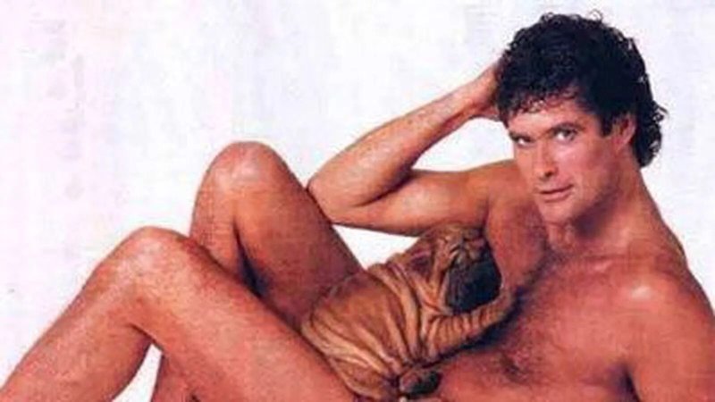 David Hasselhoff Naked