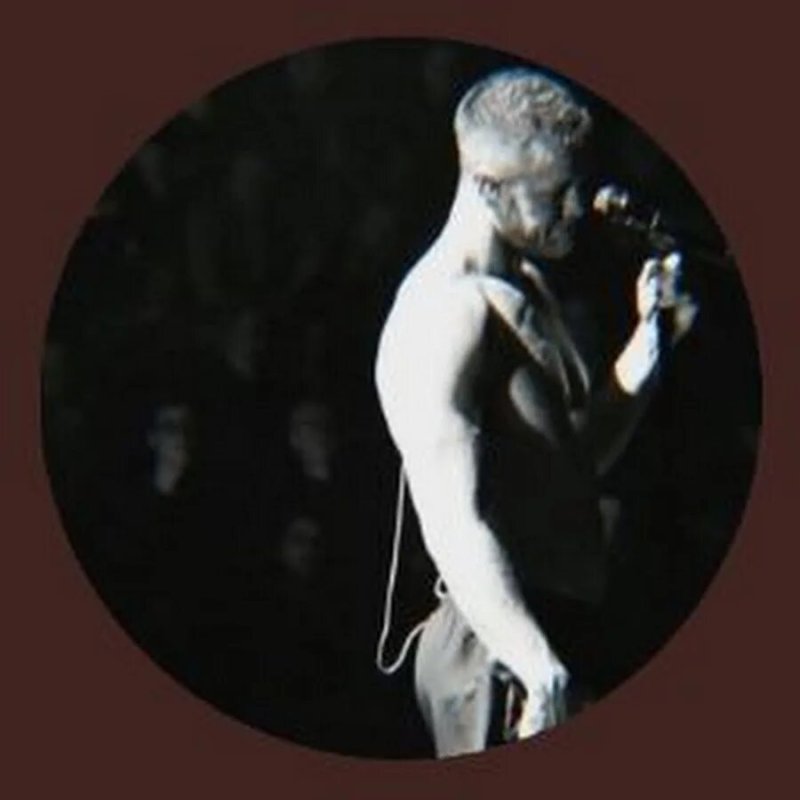 Daniel Collter Dan Reynolds