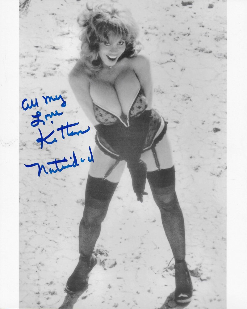 Kitten Natividad Kitten Natividad