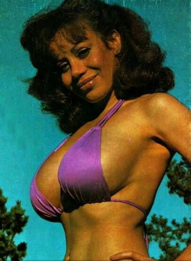 Kitten Natividad