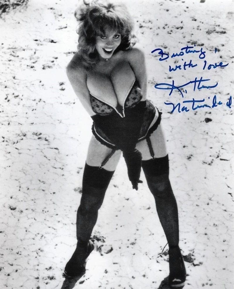 Kitten Natividad Kitten Natividad