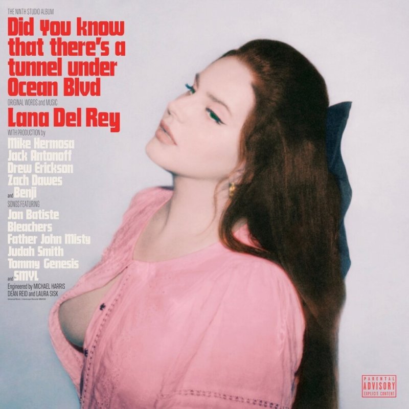 Lana del rey cover