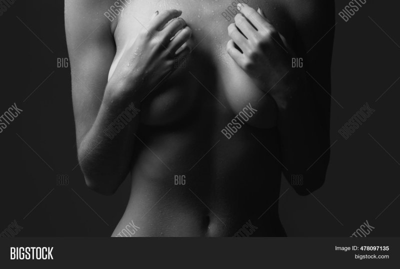 The female body is erotic