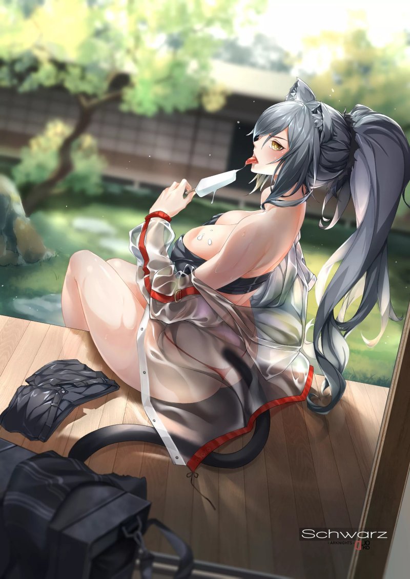 Schwarz Arknights