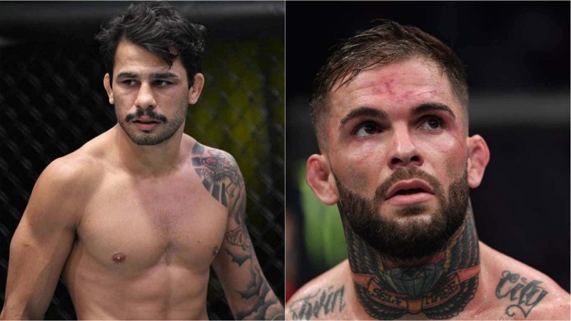 Cody Garbrandt