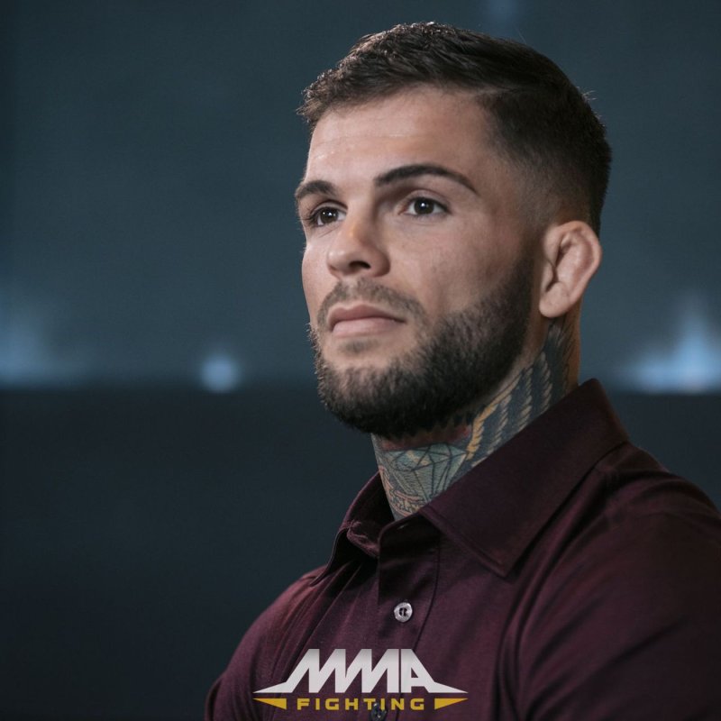 Codi Garbrandt hairstyle