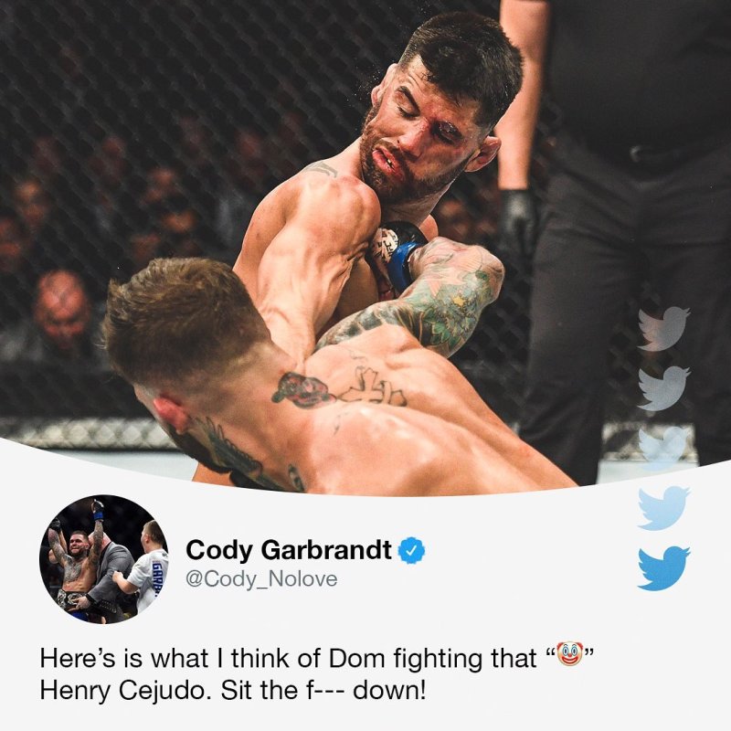 Dominic Cruz Garbrandt