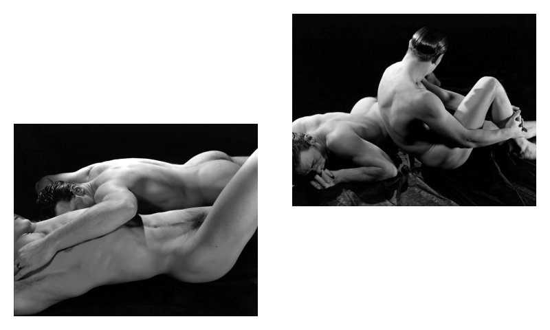 George Platt Lynes The Male Nudes Cocks