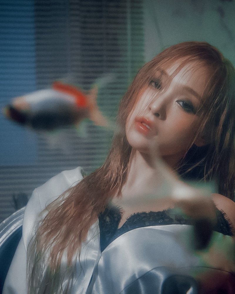 Dreamcatcher Sua
