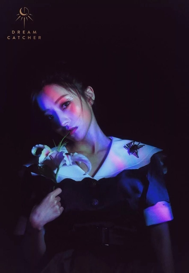 Dreamcatcher Sua