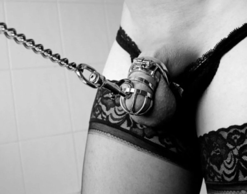 Femdom bdsm belt of fidelity bondage