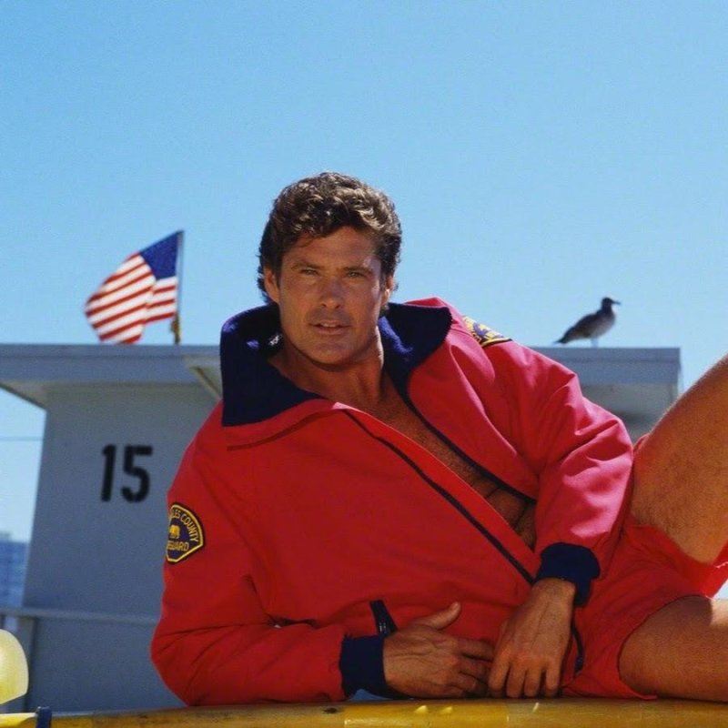 David Hasselhoff Rescuers Malibu