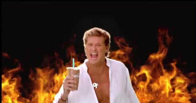 David Hasselhoff True Survivor
