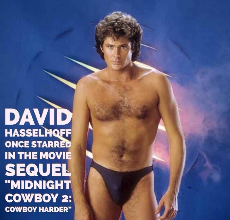 David Hasselhoff