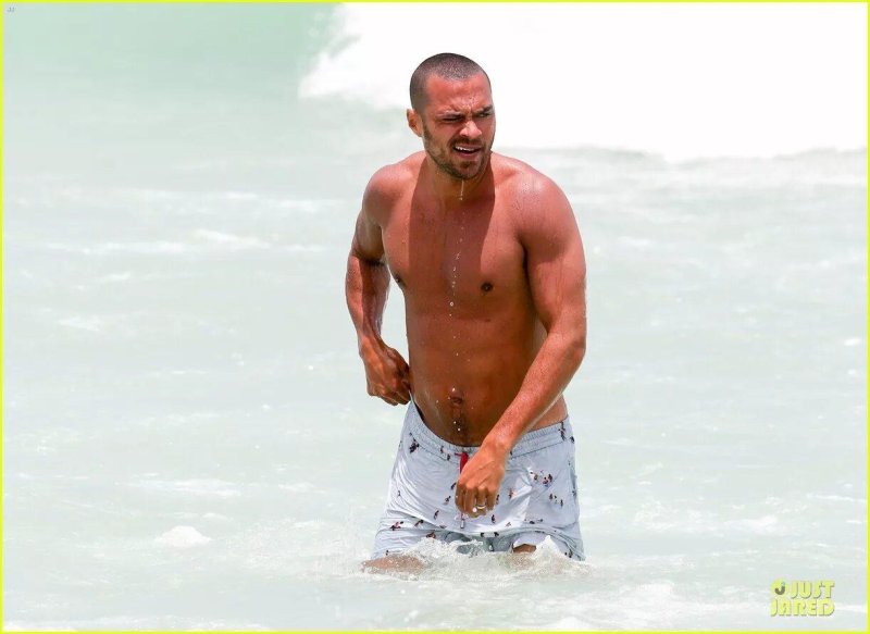 Jesse Williams Torsos