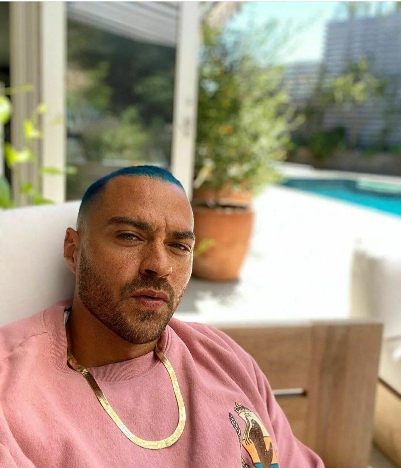 Jesse Williams American actor