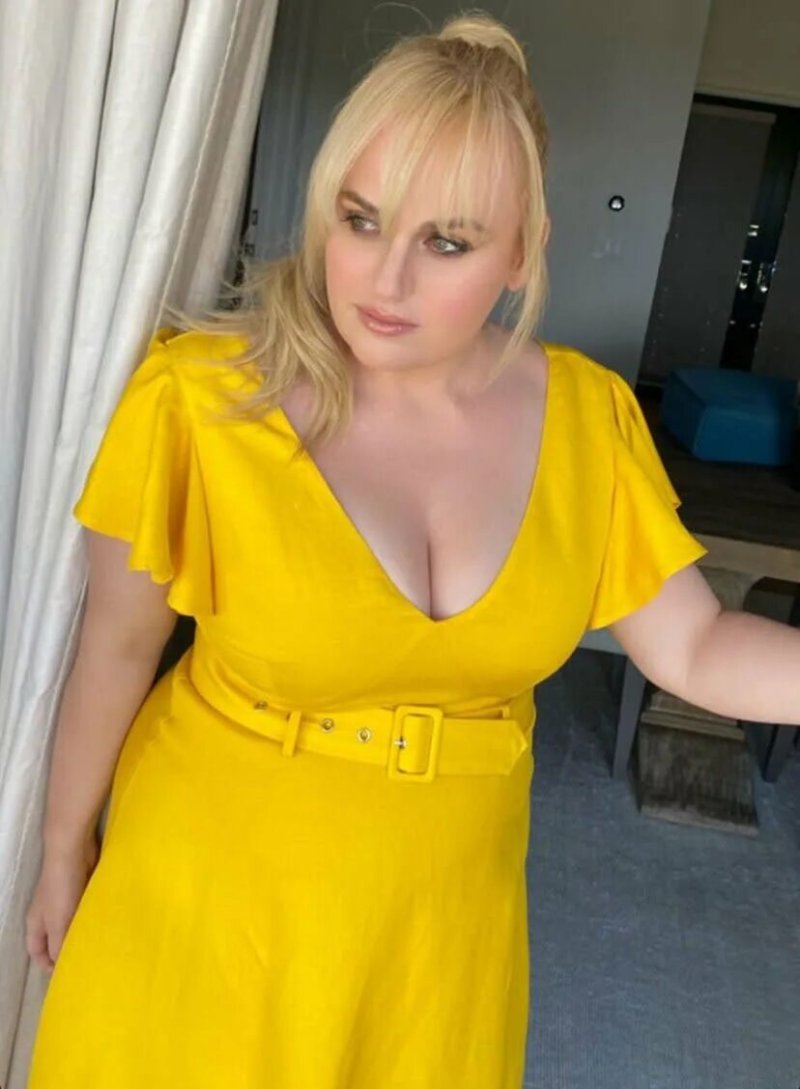 Rebel Wilson chest