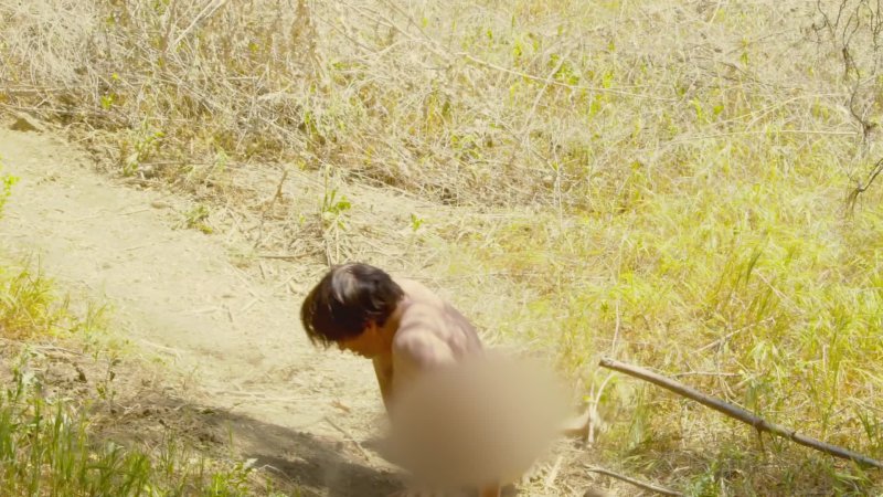 In the Nude field