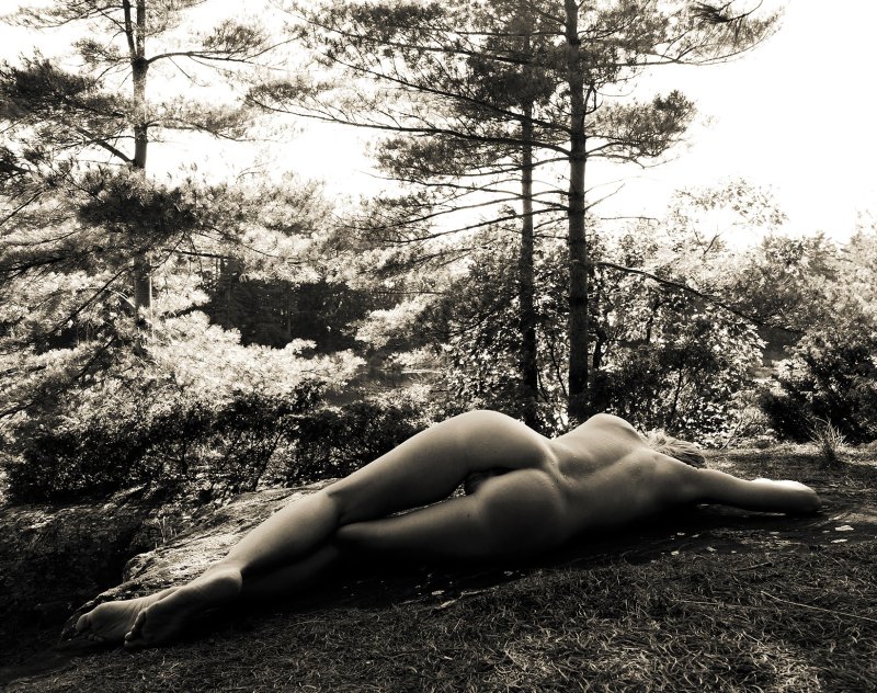 Photo shoots nude