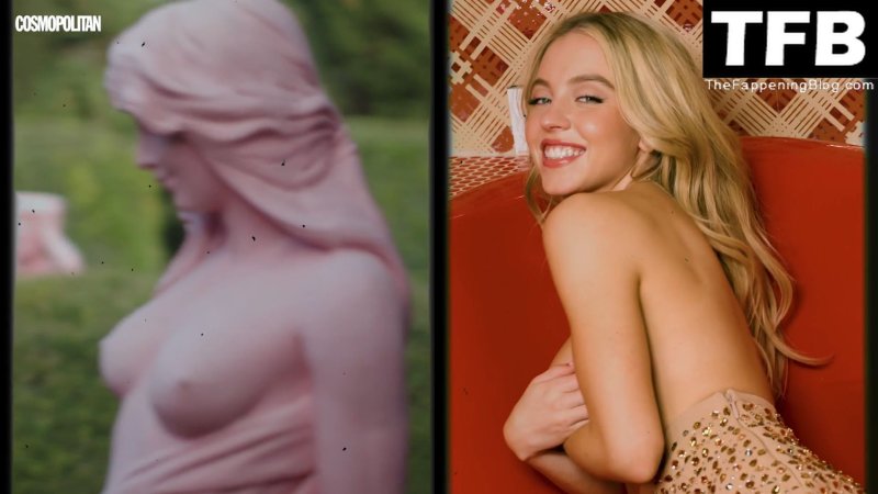 Sidney Swini Big Tits